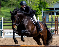 2022 Dalton Horse show